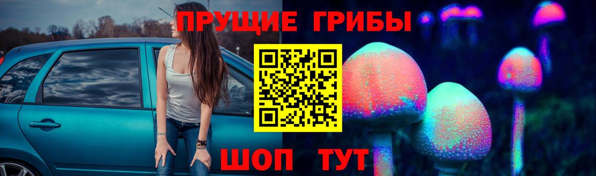 Борзя  цены   Вход с VPN  Галлюциногенные грибы GOLDEN TEACHER 